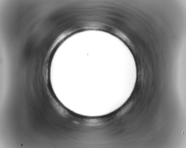 X0000085791130200704091425