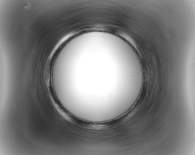 X0000085791131200704091425
