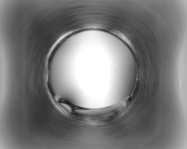 X0000085791132200704091425