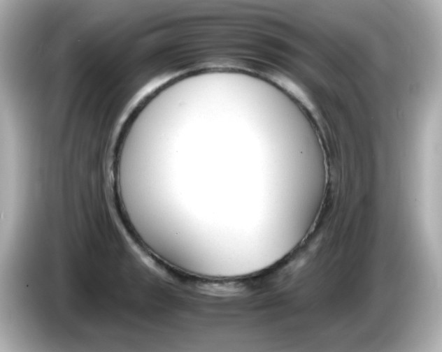 X0000085791133200704091425