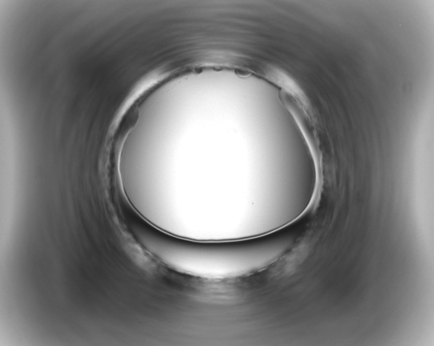 X0000085791138200704091426