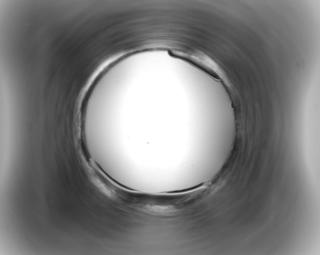 X0000085791140200704091426