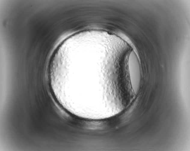 X0000085791141200704091426