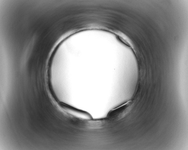 X0000085791142200704091426