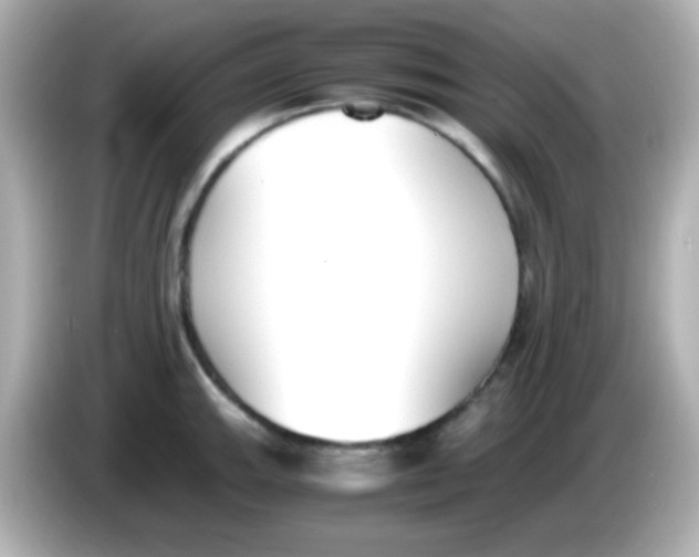X0000085791143200704091426