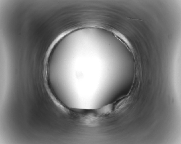 X0000085791144200704091426