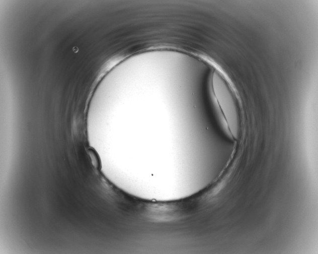 X0000085791145200704091426