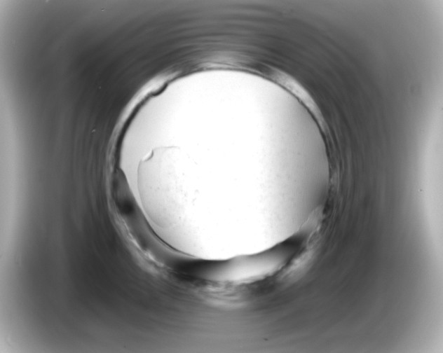 X0000085791146200704091426