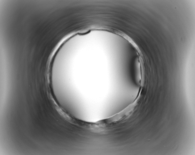 X0000085791148200704091426