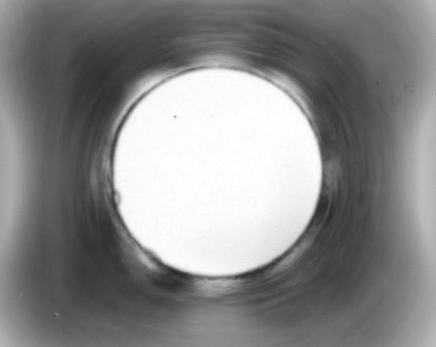 X0000085791150200704091426
