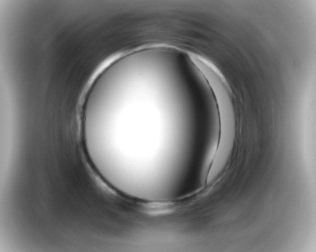X0000085791151200704091426