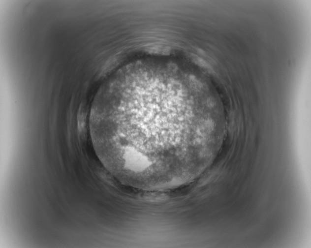 X0000085791154200704091425