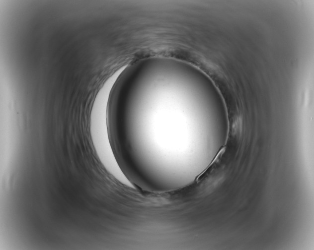X0000085791156200704091425