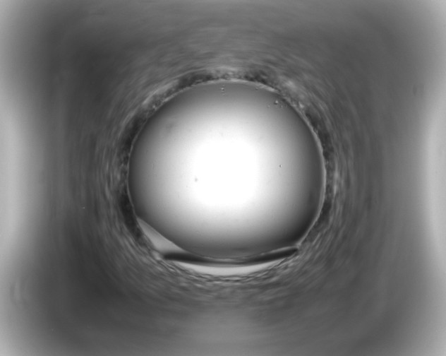 X0000085791157200704091425