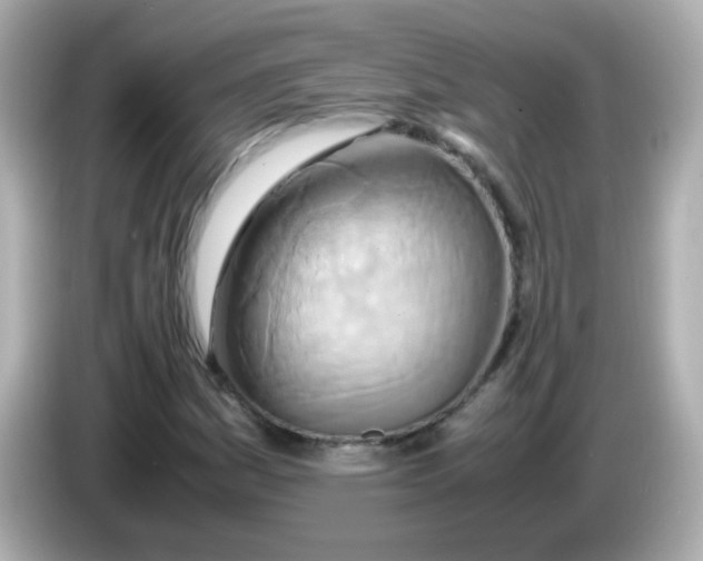 X0000085791161200704091425