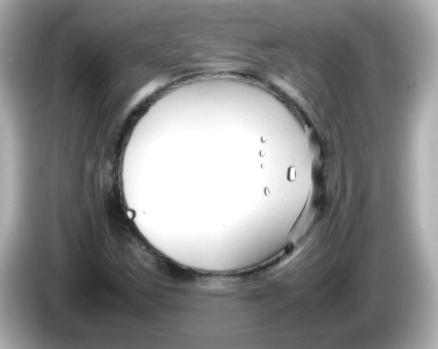 X0000085791163200704091425