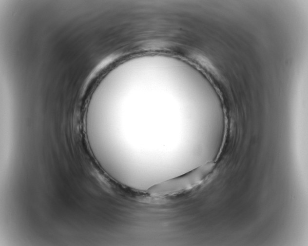 X0000085791164200704091425