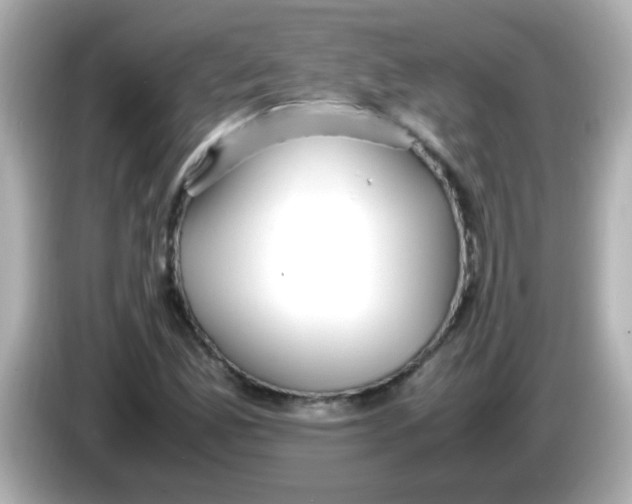X0000085791165200704091425