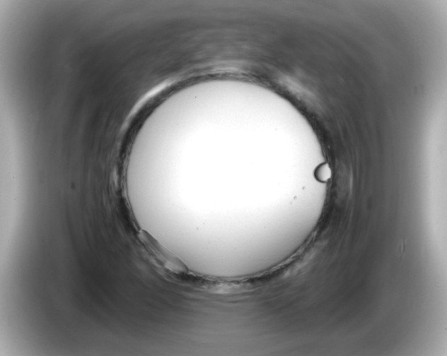 X0000085791166200704091425