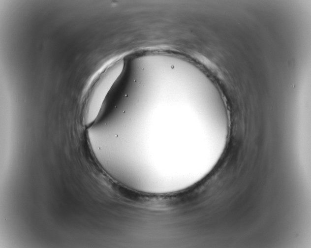 X0000085791167200704091425