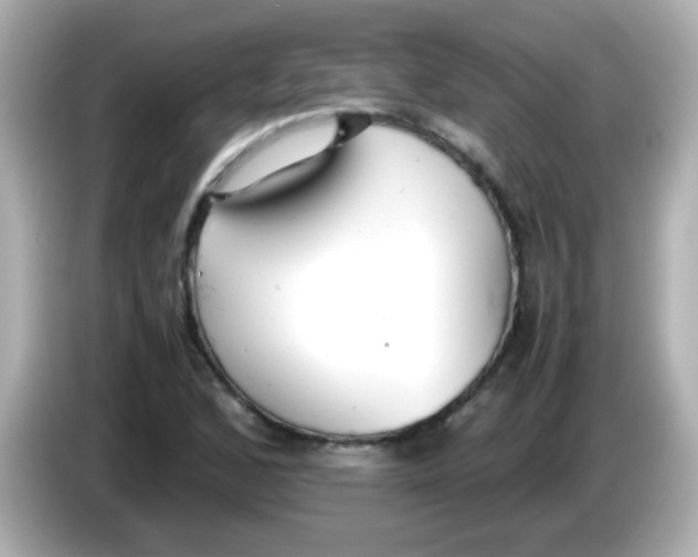 X0000085791168200704091425