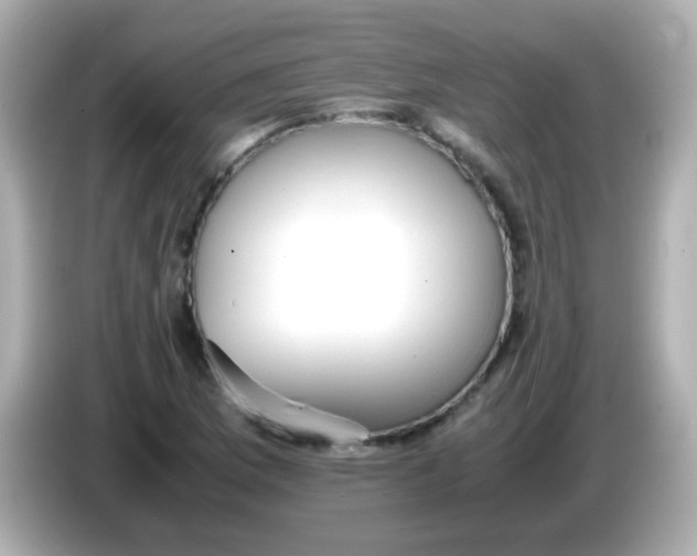 X0000085791169200704091425