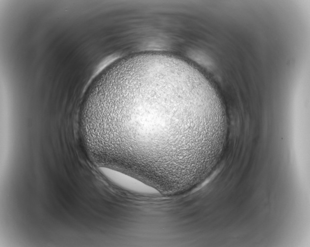 X0000085791170200704091425