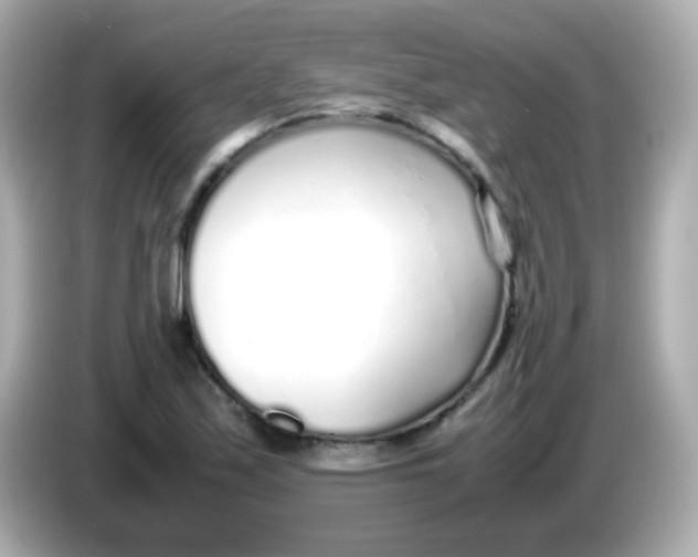 X0000085791171200704091425