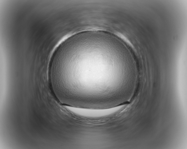 X0000085791173200704091425