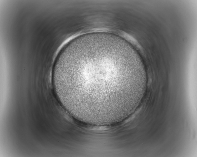 X0000085791174200704091425
