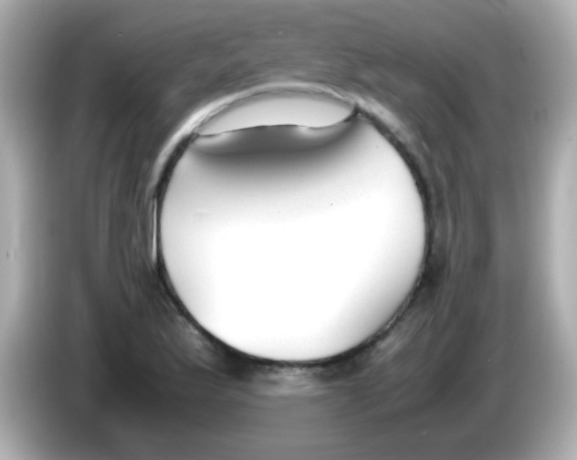X0000085791175200704091425