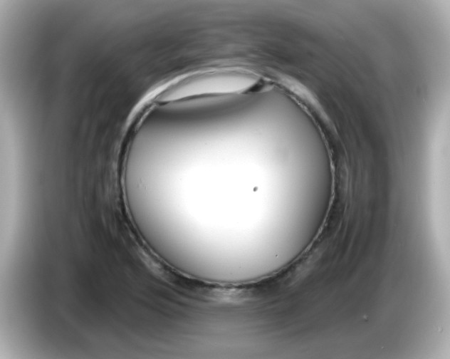 X0000085791176200704091425