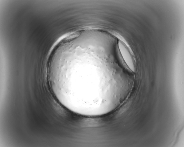 X0000085791179200704091425