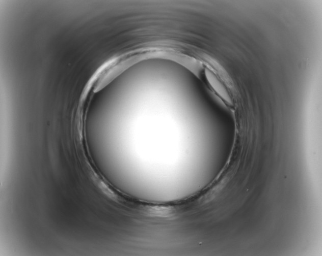X0000085791180200704091425