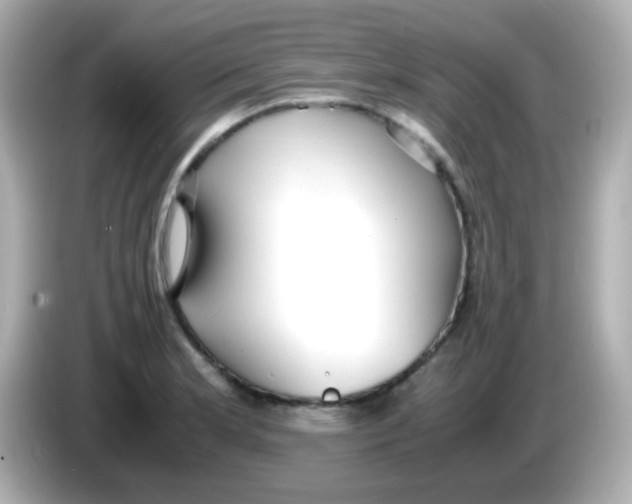 X0000085791181200704091425