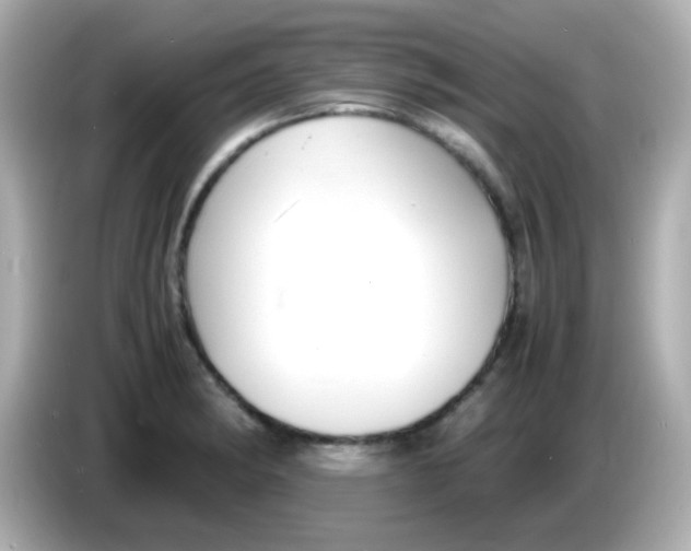 X0000085791182200704091425