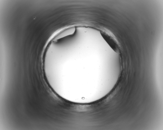 X0000085791184200704091425