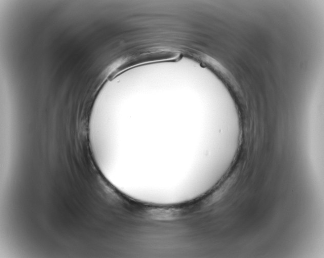 X0000085791185200704091425