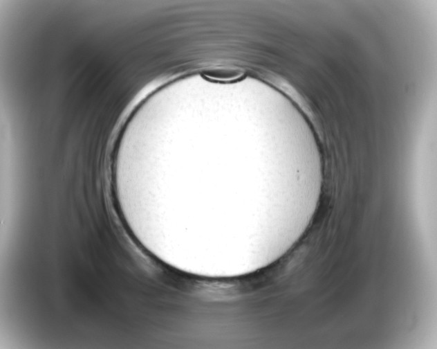 X0000085791187200704091425