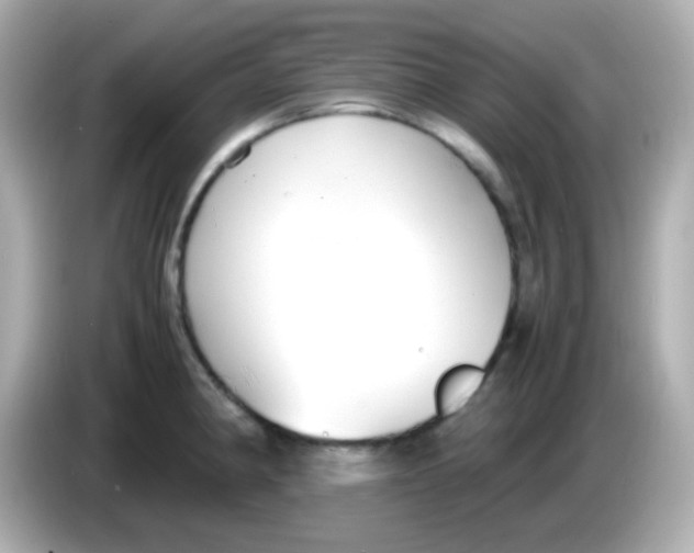 X0000085791190200704091425
