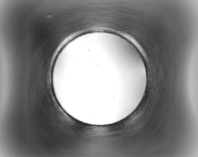 X0000085791191200704091425