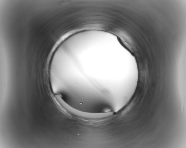 X0000085791192200704091425