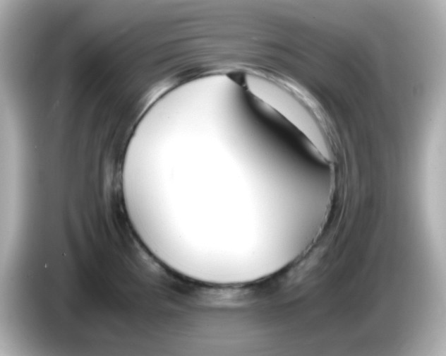 X0000085791193200704091425