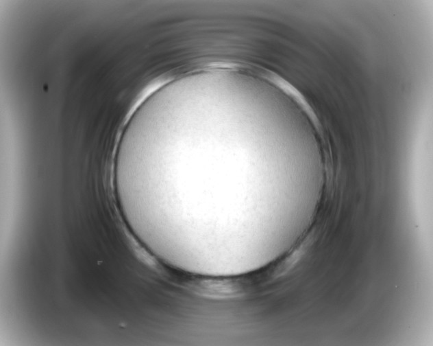 X0000085791194200704091425