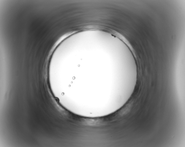 X0000085791195200704091425