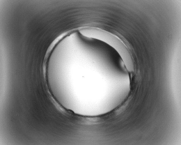 X0000085791196200704091425
