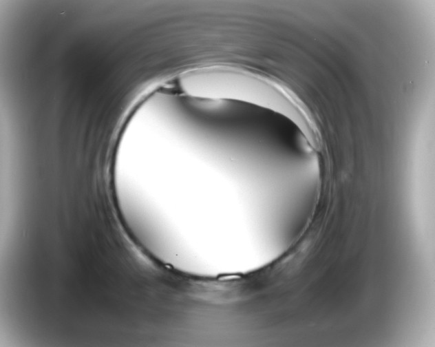 X0000085791197200704091425