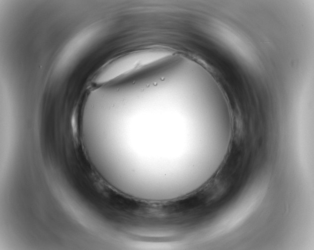X0000085791198200704091425