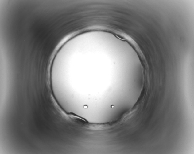 X0000085791199200704091425
