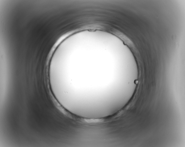 X0000085791200200704091425